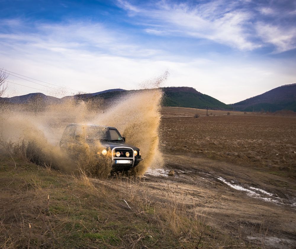 Samochód 4×4 na leśnej ścieżce